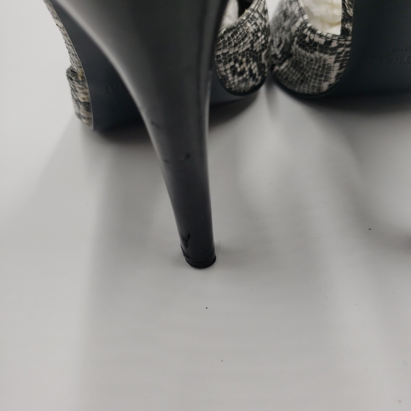 Clinton Stuart - Picture 10 of 10